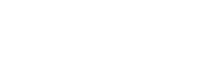 Logo_ZYN_Mobile_White.png