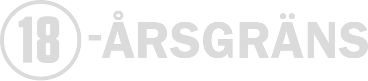 Footer payment logo