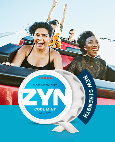 nyhet: zyn cool mint mini dry super strong
